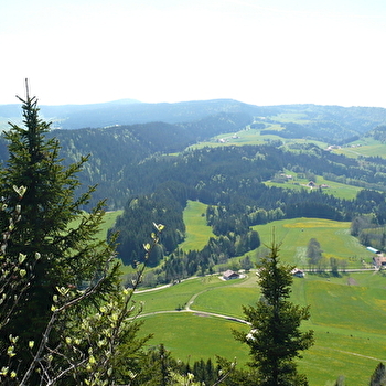 Mont Châteleu - LES GRAS