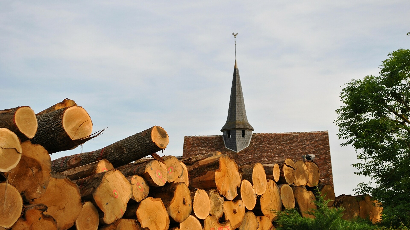 Bois et tonneaux