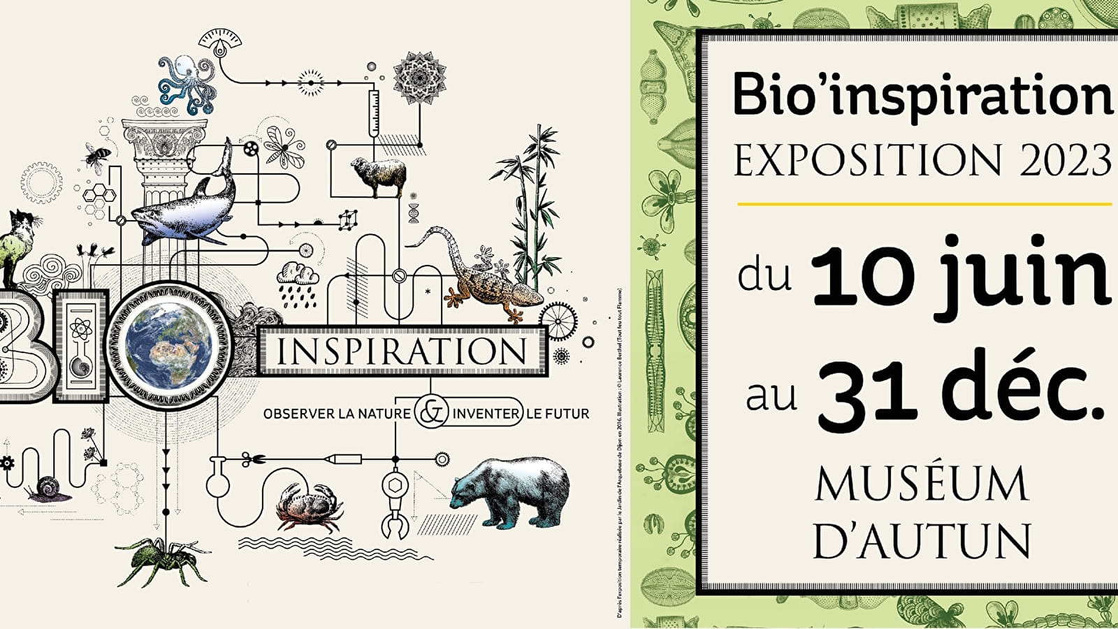 Exposition Temporaire : Bio'Inspiration, Observer la nature & Inventer le futur
