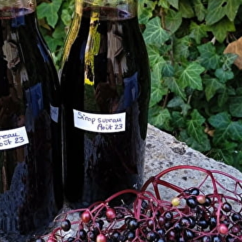 La Maison de Fernande  - GOURGEON