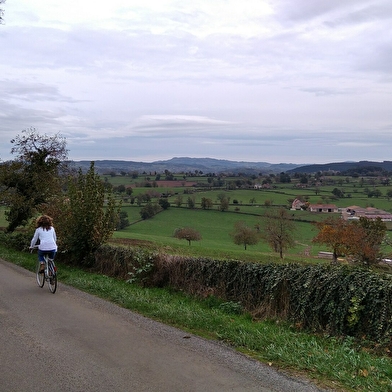 Boucle Bernard Thévenet - A la découverte du bocage charolais