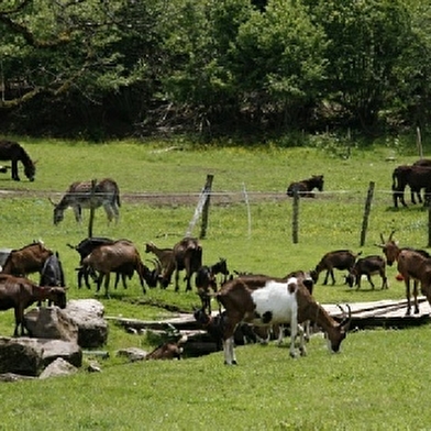 Gîte paysan du moulin begeot