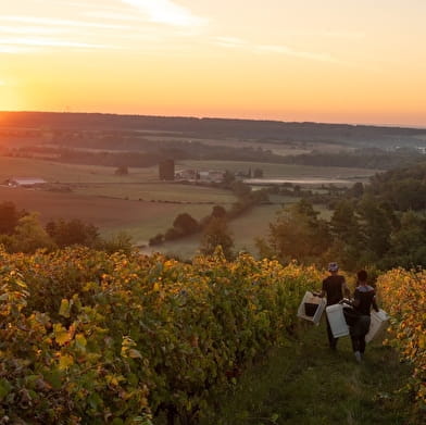 Domaine Henriot