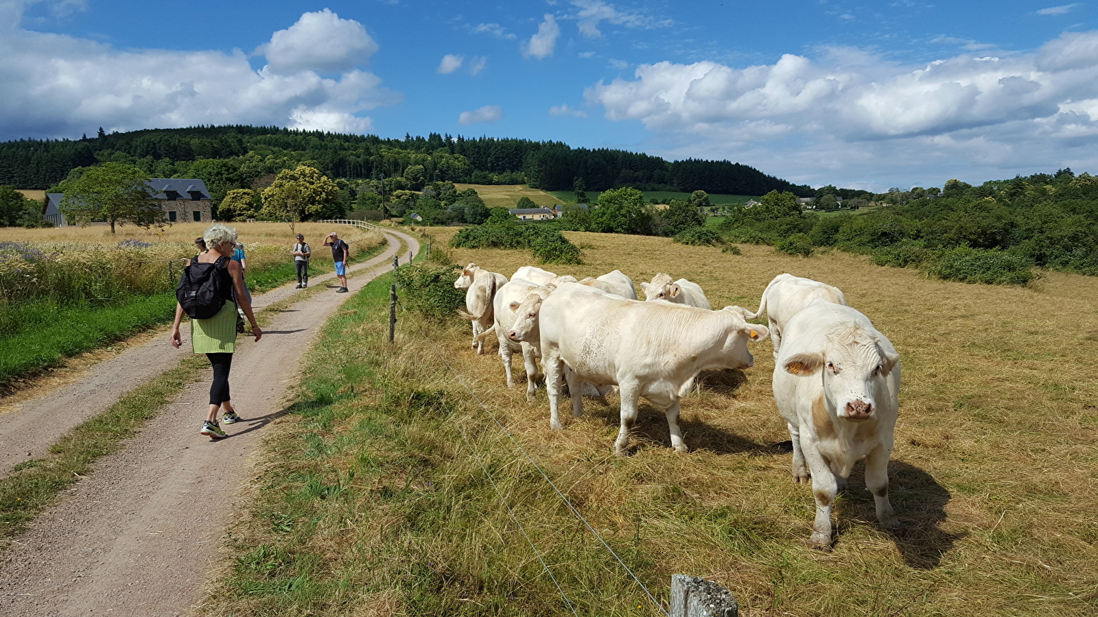 Les Gorges de La Canche