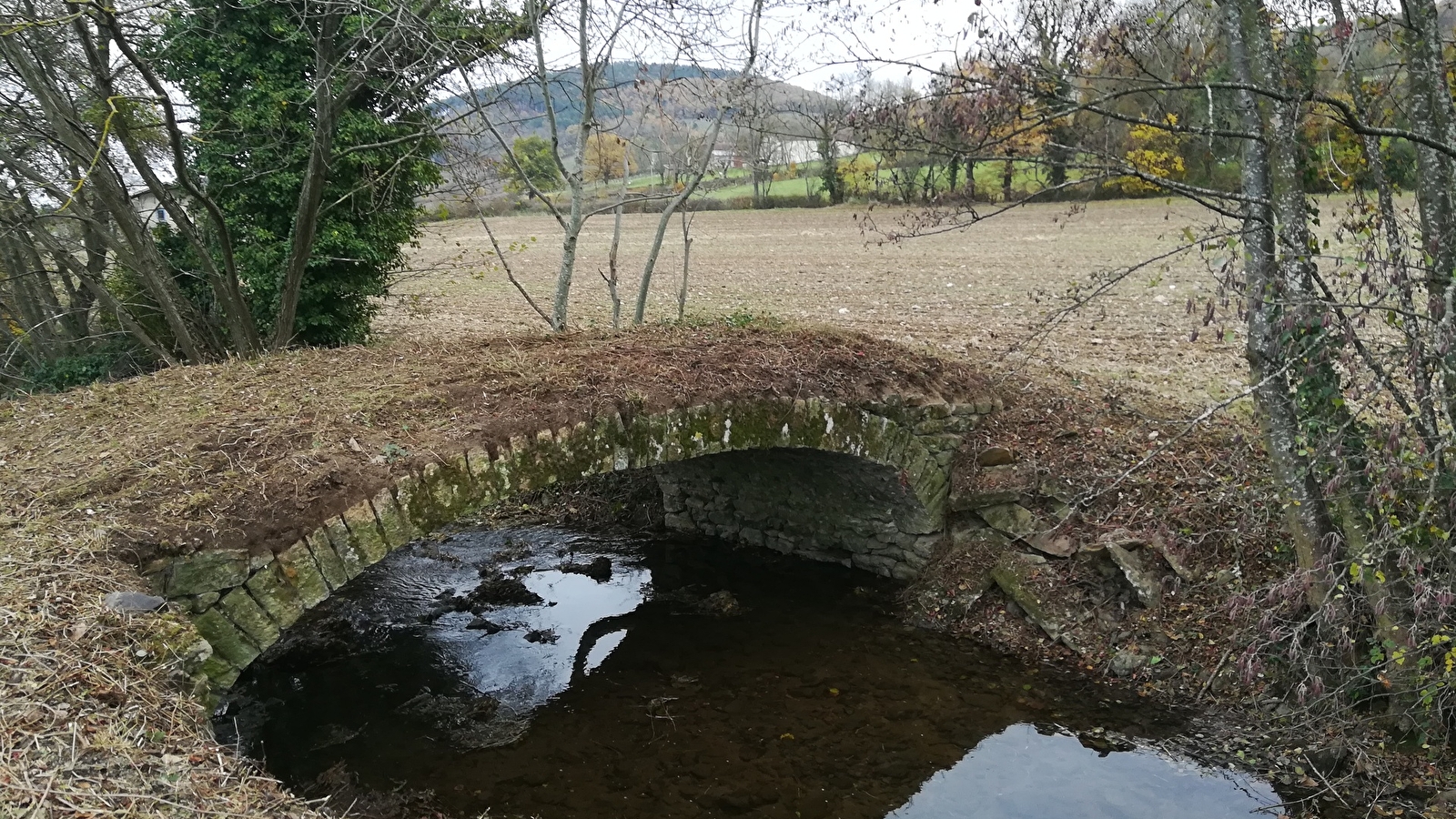 Pont sur La Petite Grosne