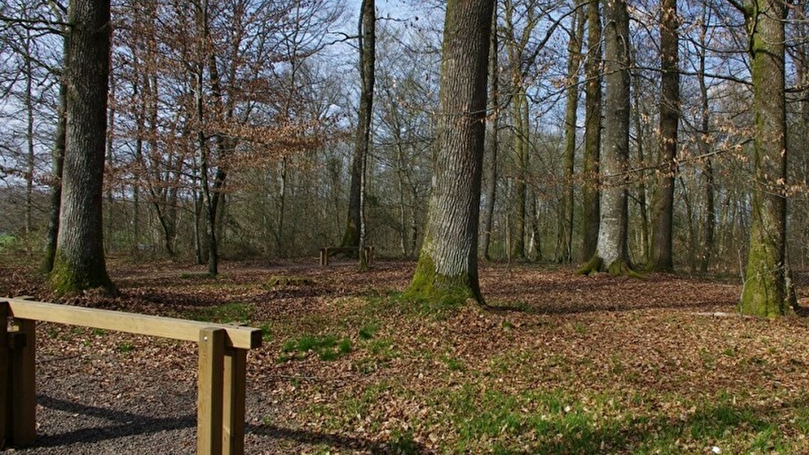 Parcours de santé à St Sauveur