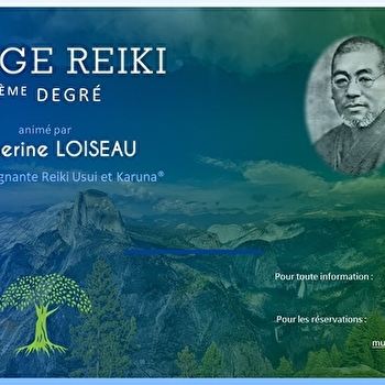 Stage de Reiki Usui niveau 3 - LONS-LE-SAUNIER
