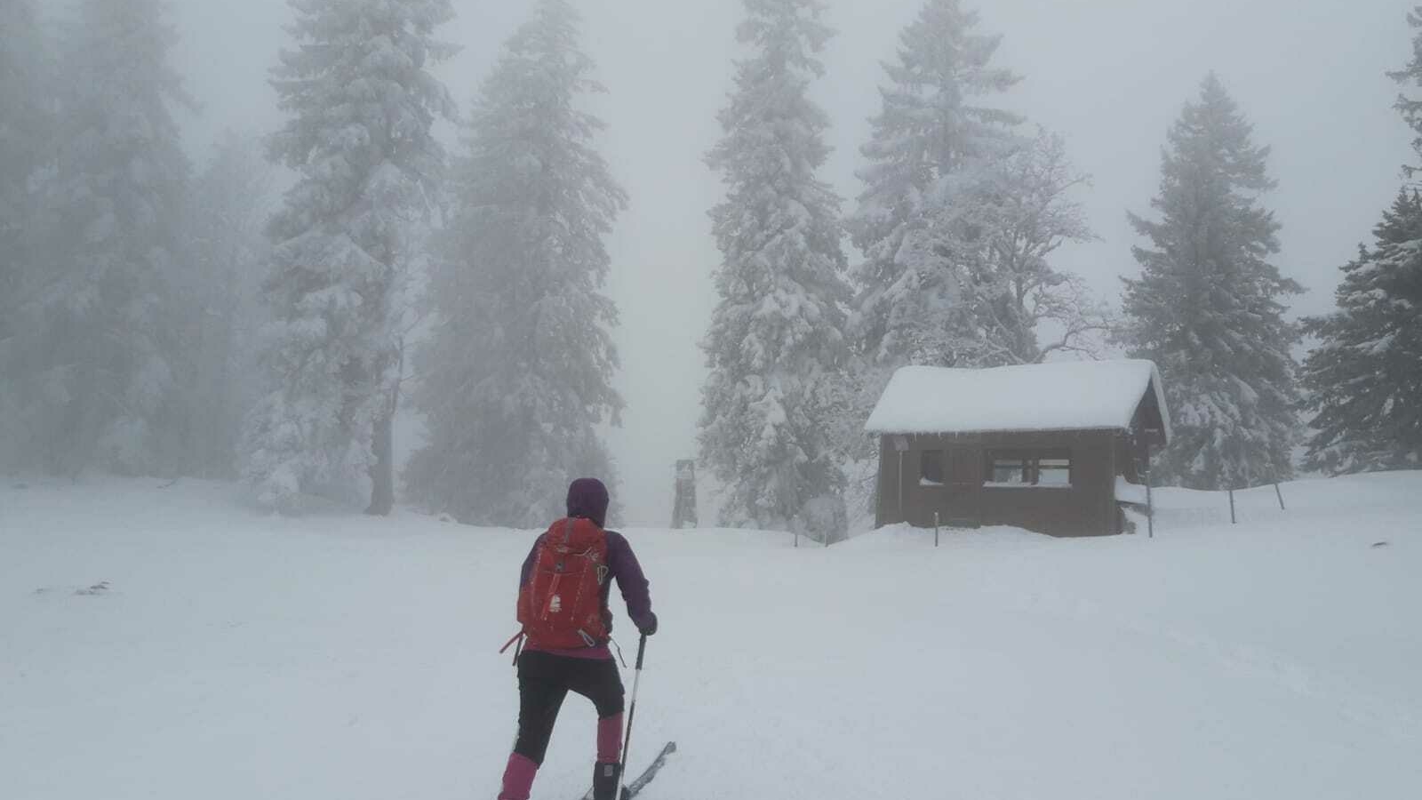 Rando familiale en raquette ou backcountry