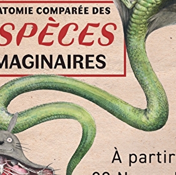 Exposition Anatomie comparée des espèces imaginaires - musée Buffon - MONTBARD