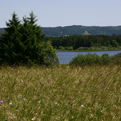 Ronde des 2 Villages