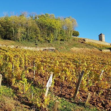 Tour du Jura Vélo Loisirs