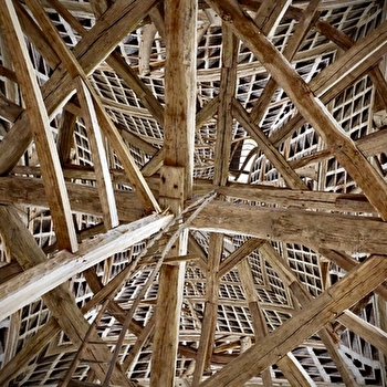 Rodella-Fractales / Exposition au château d’Époisses - EPOISSES