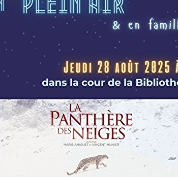 Cinéma en plein air - BEAUNE