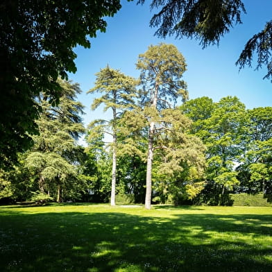 Parc du château de Ray-sur-Saône