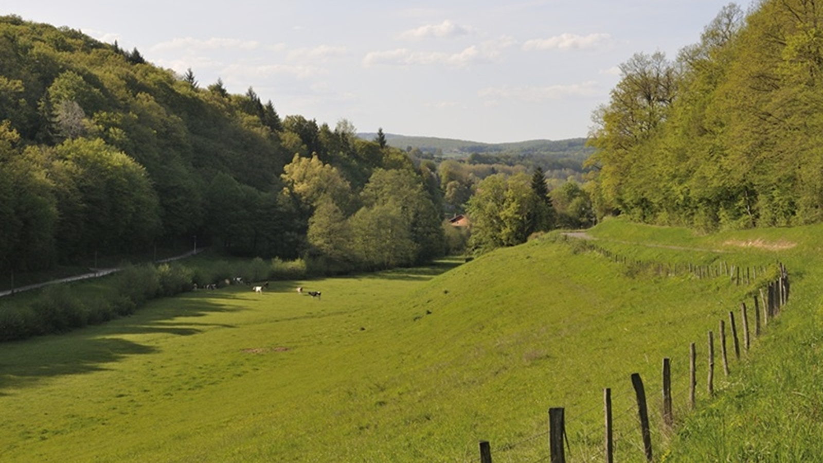 Montagnes du Lomont