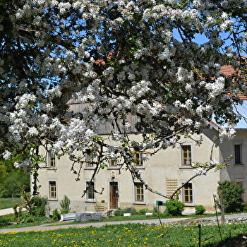 Appartement - La Grange des Sapins - ARCON