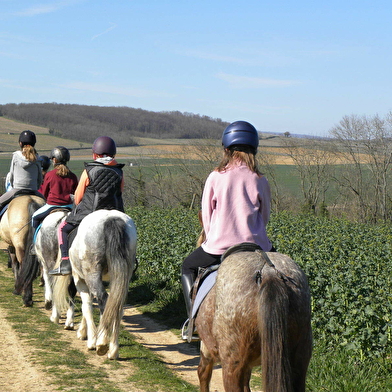 Poney-club de Laizé/Centre équestre