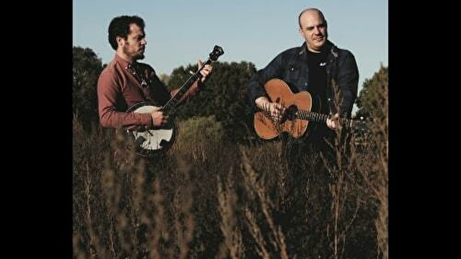 The Healberries : Bluegrass