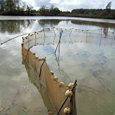 Pisciculture des Marais