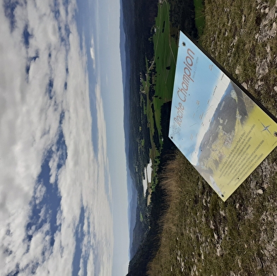 Roche Champion - Roche Bernard