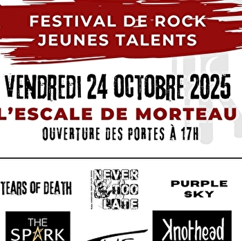 Young'fest festival de rock jeunes talents - MORTEAU