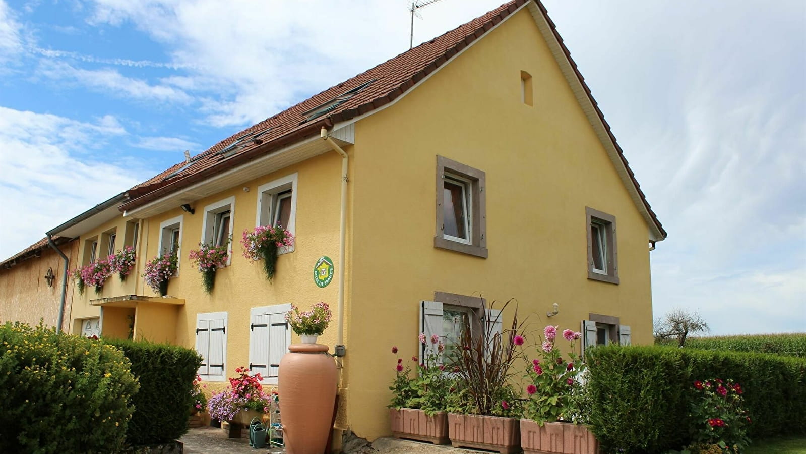 Gîte de la Bergeraine violet