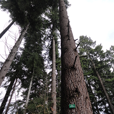 Arboretum d'Ardon
