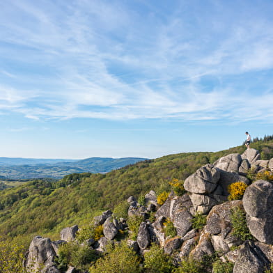 A la découverte de la nature d'Uchon