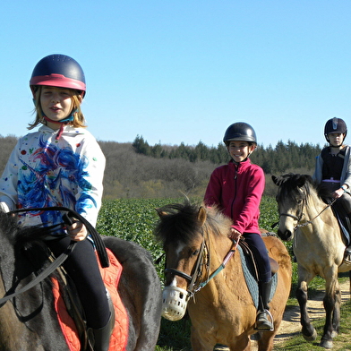 Initiation ou perfectionnement à l'équitation
