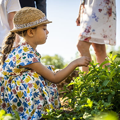 Festin de plantes