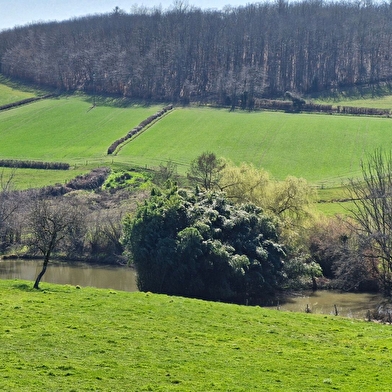 Le pré fleuri
