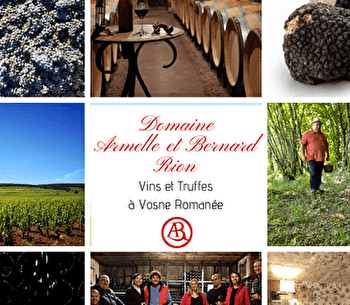 Visites au Domaine Armelle et Bernard Rion - VOSNE-ROMANEE