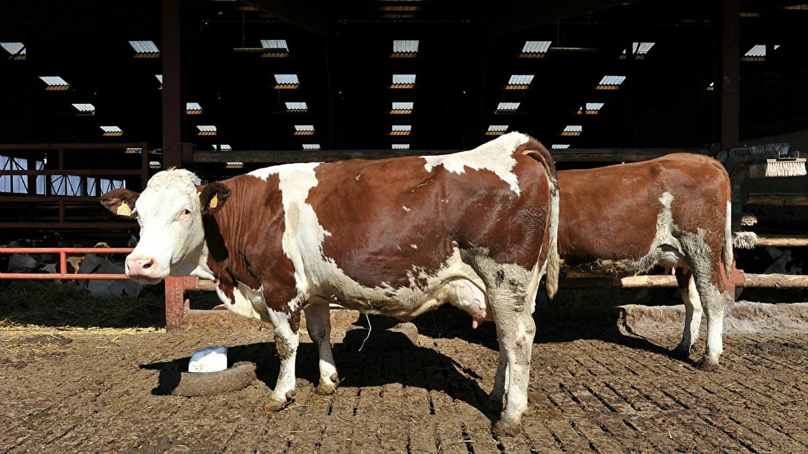 Ferme Talon