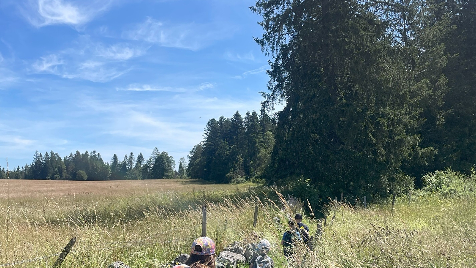 Vacances sportives : balade animée en nature - journée