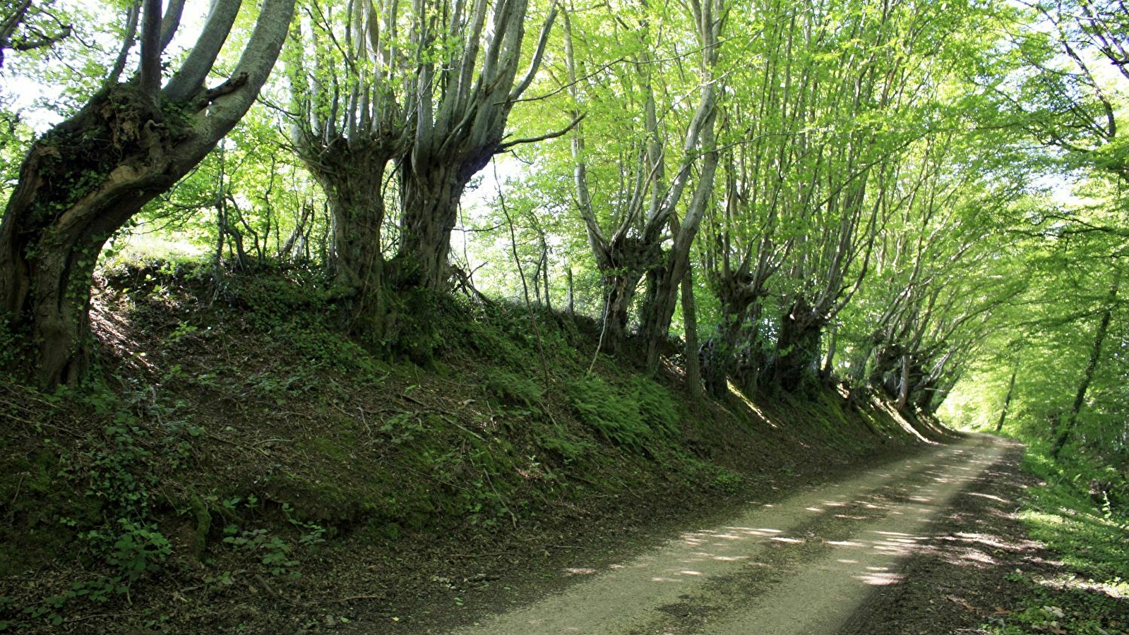 Sentier de Guédelon