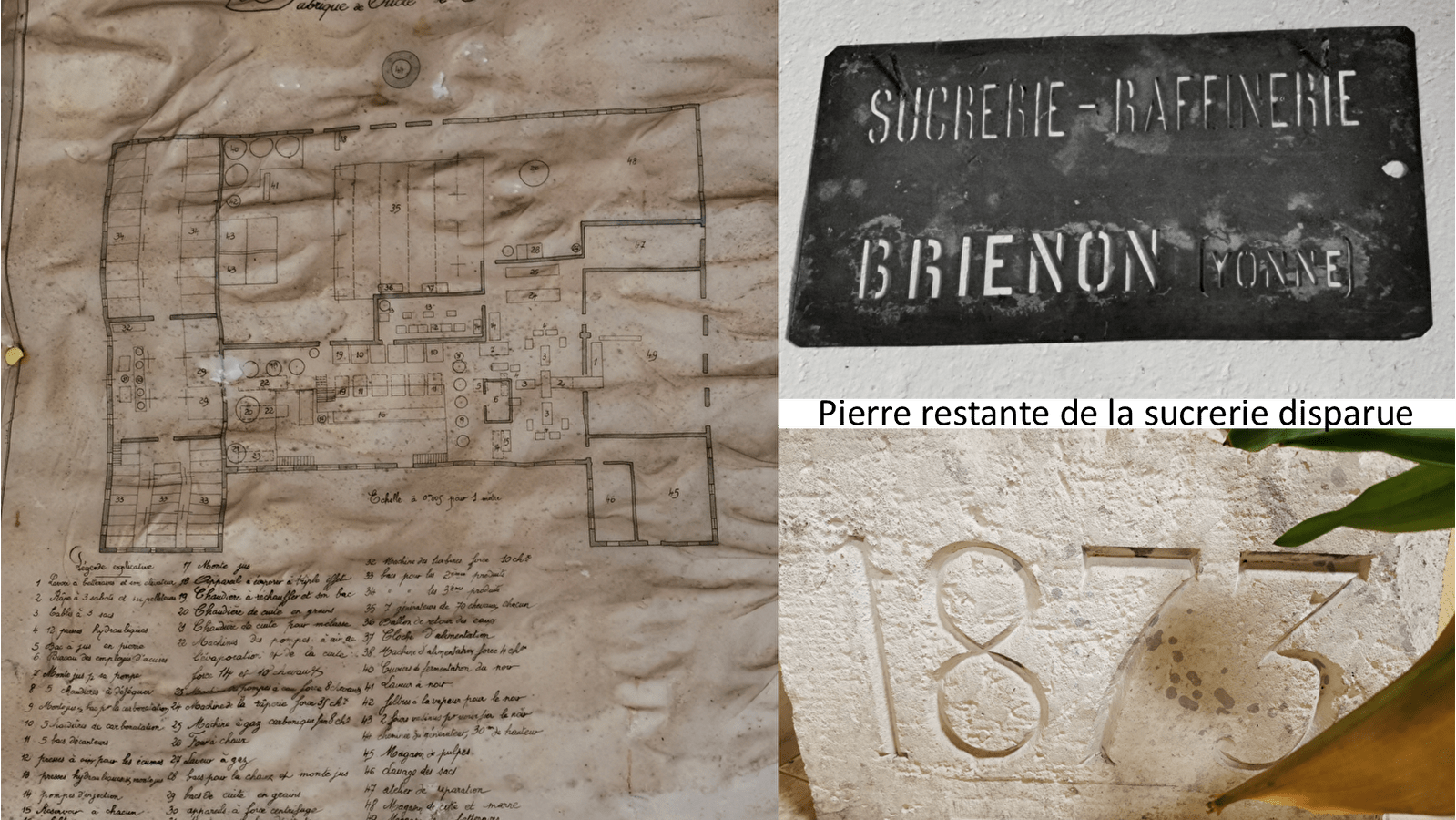 Brienon, terre de sucre