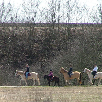 Corral Ranch