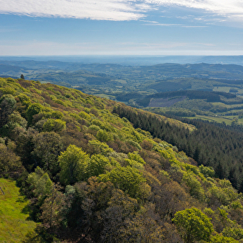La Certenue - MESVRES