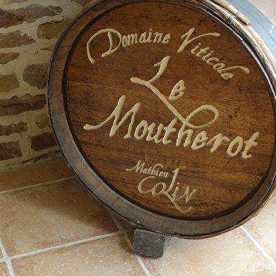 Le vignoble du Moutherot