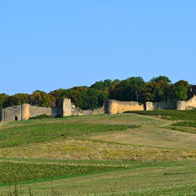 Tour du Jura Vélo Loisirs – Étape 4 : Poligny - Chaumergy