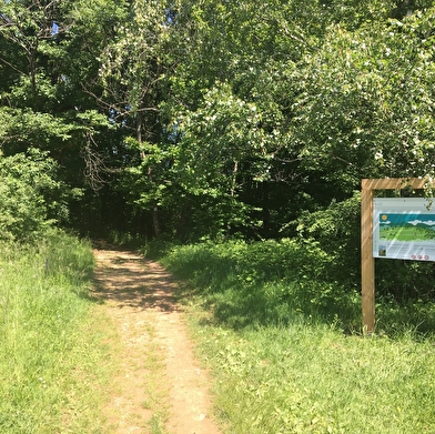 Randonnée pédestre : Grilly - le Mont Mourex
