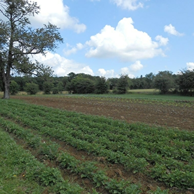 Ferme sous la côte