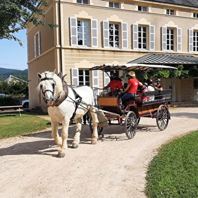 Haras National de Cluny