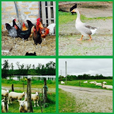 Gîte à la campagne