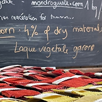 Explorer les colorants végétaux : nature et innovation - Virginie Lagerbe - CHAMPIGNELLES