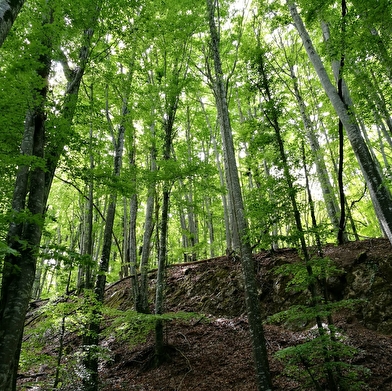 Le sentier des Charbonniers