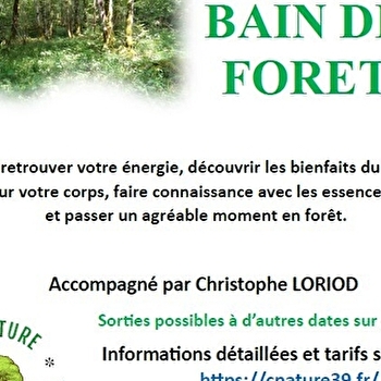 Bain de forêt - Sylvothérapie - MONTROND
