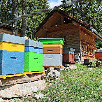 Visite guidée du rucher du Bayard - FONCINE-LE-HAUT