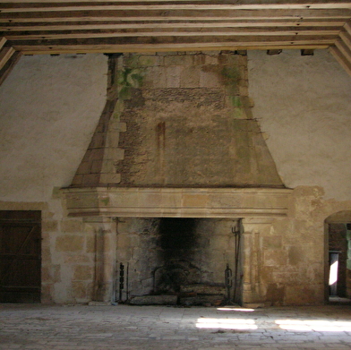 Chateau de la Motte Josserand