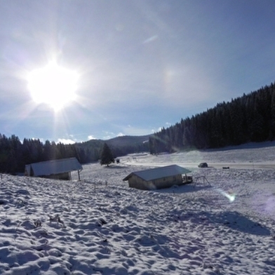 Chalet Chez Liadet - Edelweiss